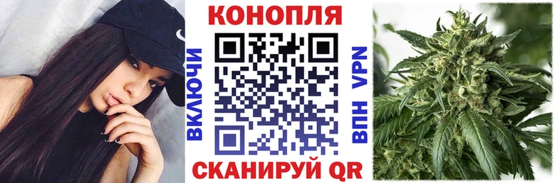купить   Чайковский  Марихуана семена 